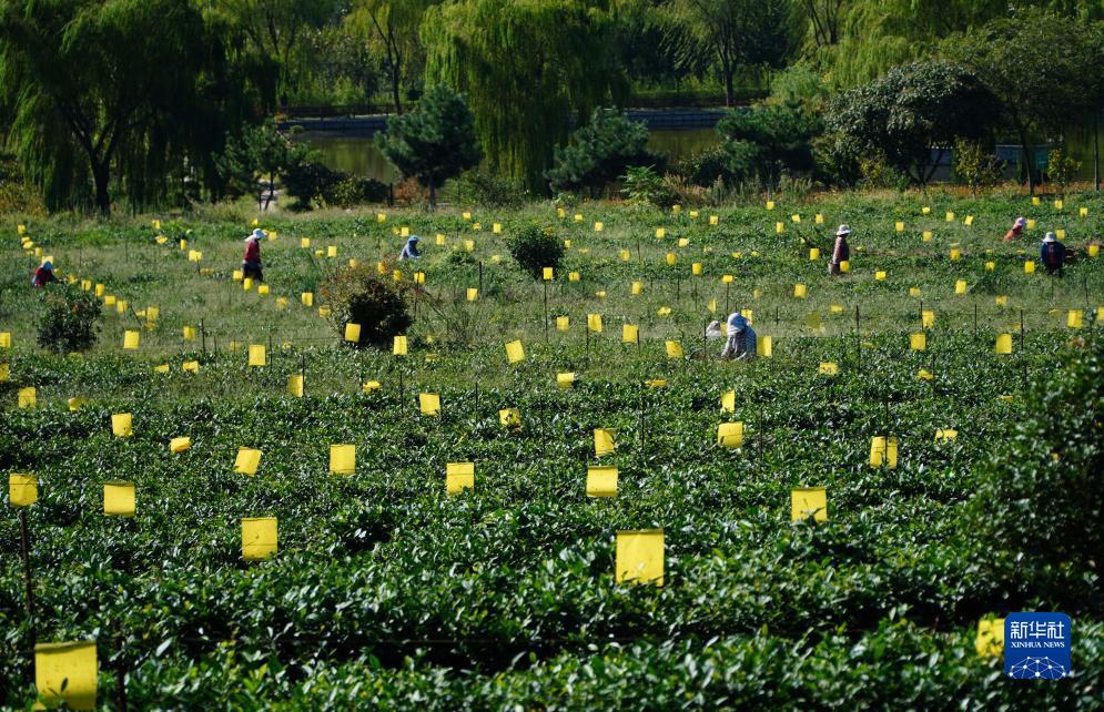 其乐游戏平台官网